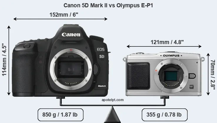 Size Canon 5D Mark II vs Olympus E-P1