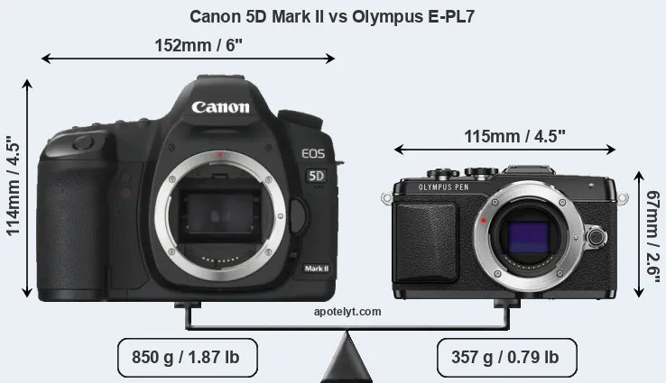 Size Canon 5D Mark II vs Olympus E-PL7