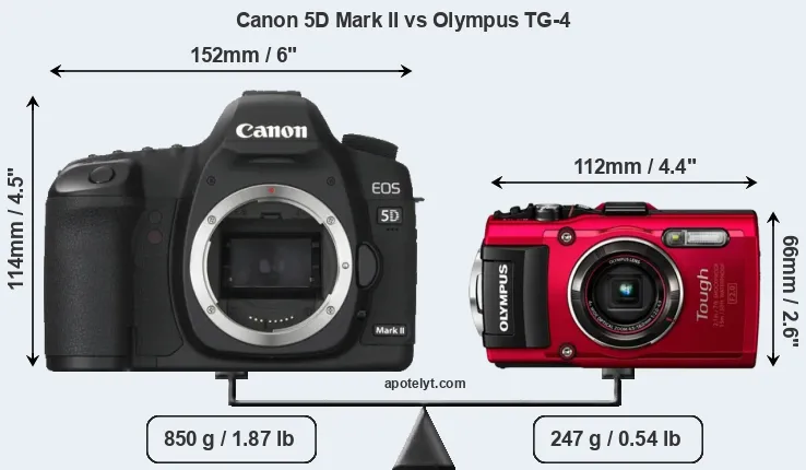 Size Canon 5D Mark II vs Olympus TG-4
