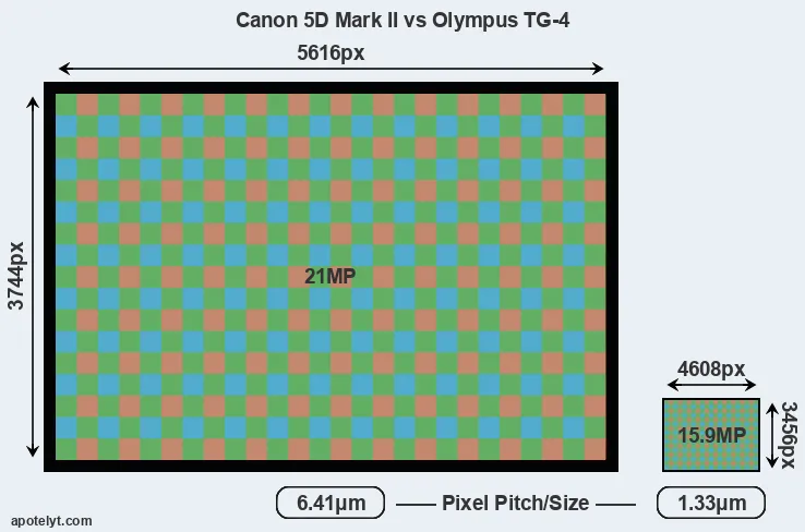 5D Mark II versus TG-4 MP