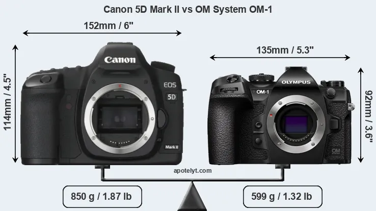 Size Canon 5D Mark II vs OM System OM-1