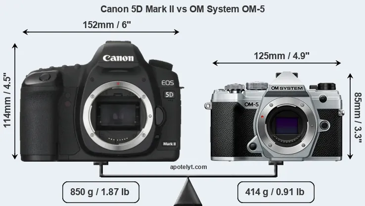 Size Canon 5D Mark II vs OM System OM-5