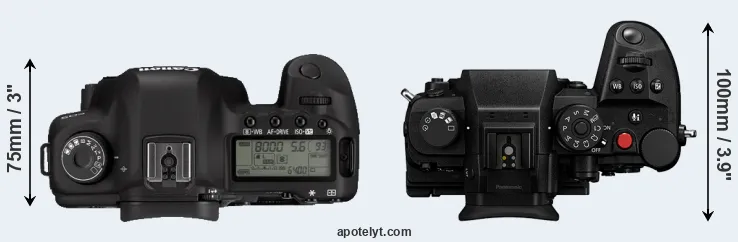 Compare 5D Mark II versus GH7 top