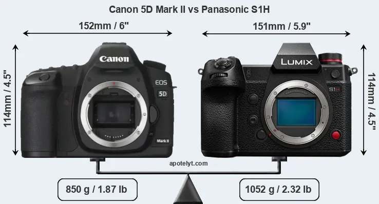 Size Canon 5D Mark II vs Panasonic S1H