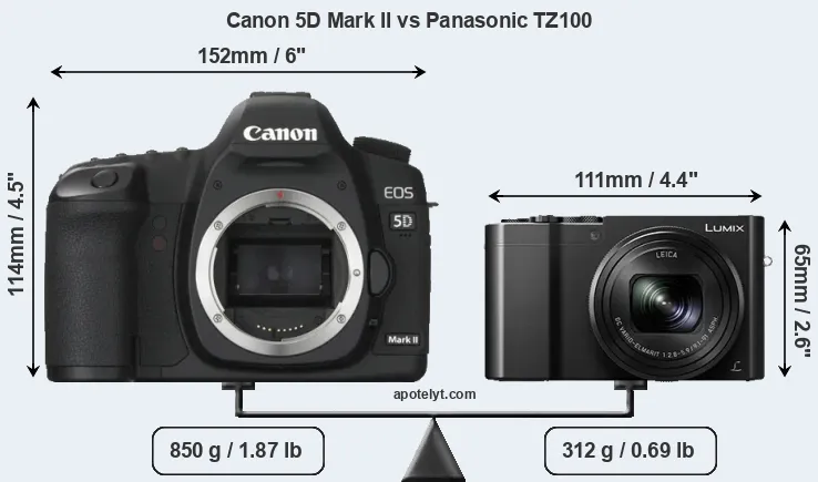 Size Canon 5D Mark II vs Panasonic TZ100