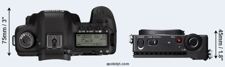 Compare 5D Mark II versus fp top