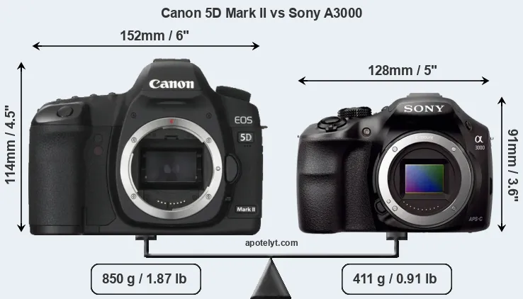 Size Canon 5D Mark II vs Sony A3000