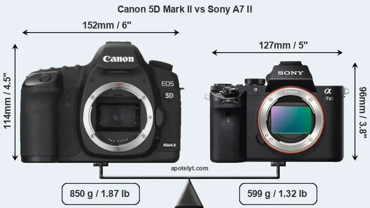 Size Canon 5D Mark II vs Sony A7 II