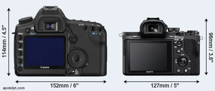 Comparison 5D Mark II or A7 II rear