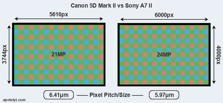 5D Mark II versus A7 II MP