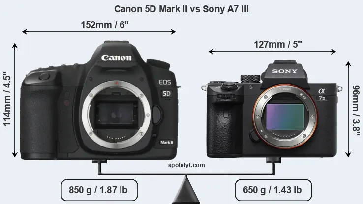 Size Canon 5D Mark II vs Sony A7 III