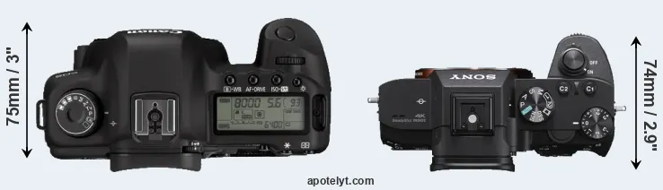 Compare 5D Mark II versus A7 III top