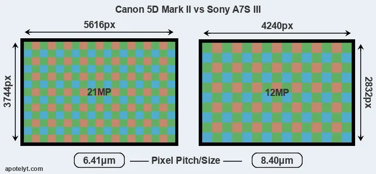 5D Mark II versus A7S III MP