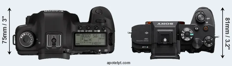 Compare 5D Mark II versus A7S III top