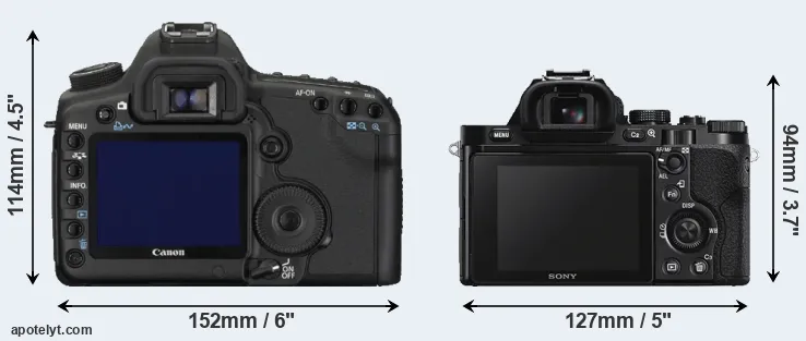 Comparison 5D Mark II or A7S rear