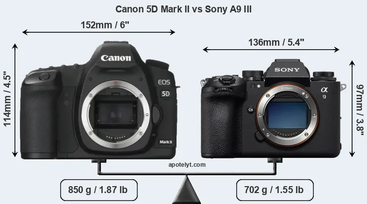 Size Canon 5D Mark II vs Sony A9 III