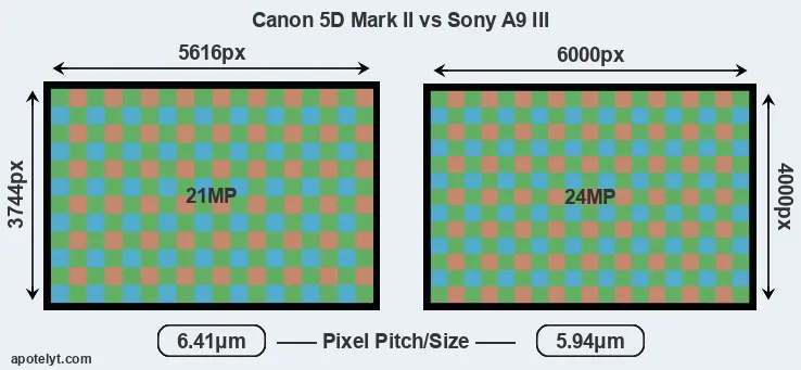 5D Mark II versus A9 III MP
