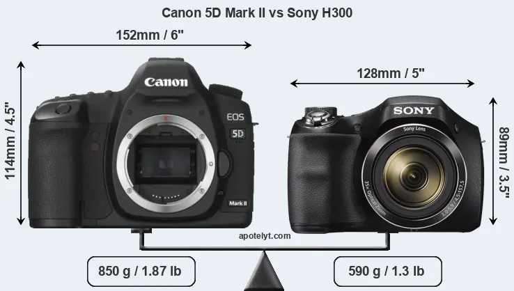 Size Canon 5D Mark II vs Sony H300