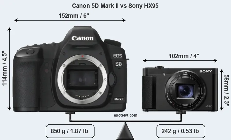 Size Canon 5D Mark II vs Sony HX95