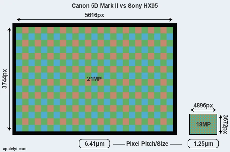 5D Mark II versus HX95 MP