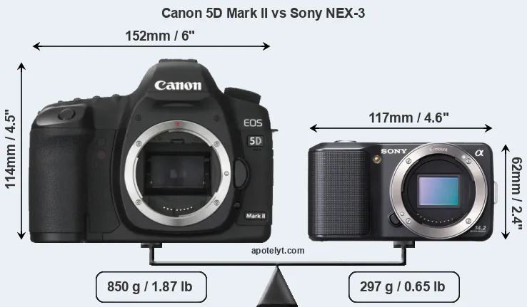 Size Canon 5D Mark II vs Sony NEX-3