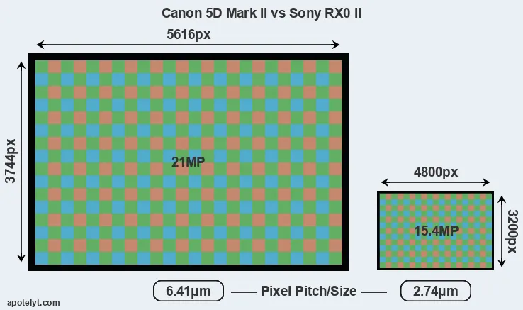 5D Mark II versus RX0 II MP
