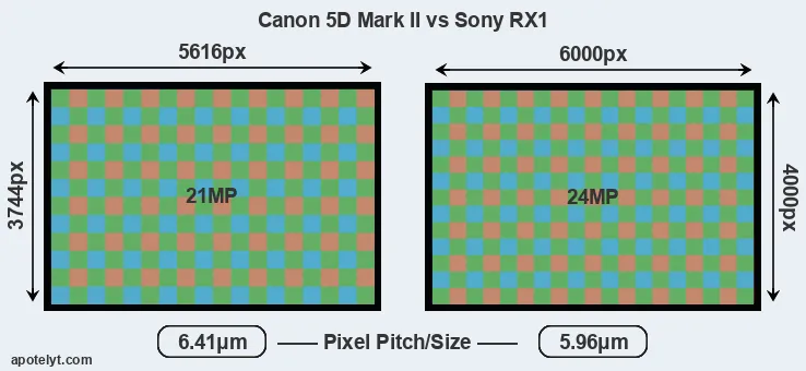 5D Mark II versus RX1 MP