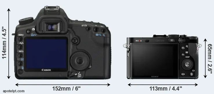 Comparison 5D Mark II or RX1R II rear