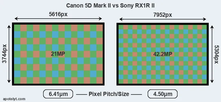 5D Mark II versus RX1R II MP