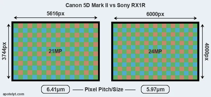 5D Mark II versus RX1R MP