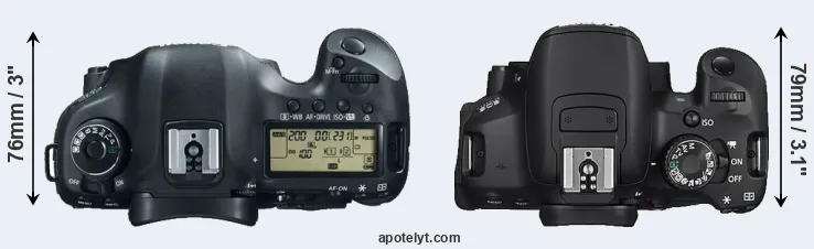 Compare 5D Mark III versus 650D top
