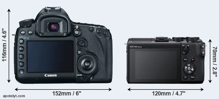 Comparison 5D Mark III or M6 Mark II rear