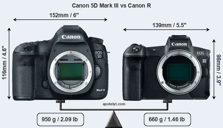 Size Canon 5D Mark III vs Canon R