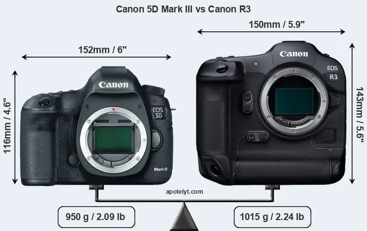 Size Canon 5D Mark III vs Canon R3