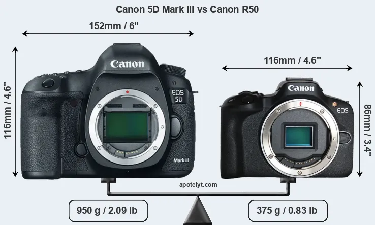 Size Canon 5D Mark III vs Canon R50