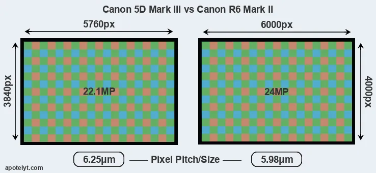 5D Mark III versus R6 Mark II MP