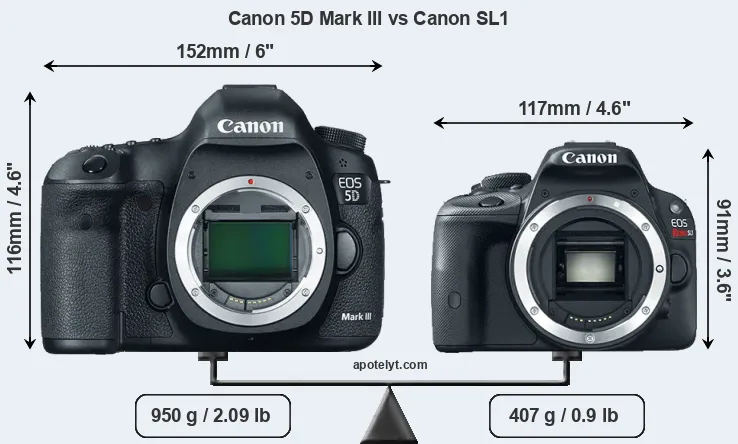 Size Canon 5D Mark III vs Canon SL1