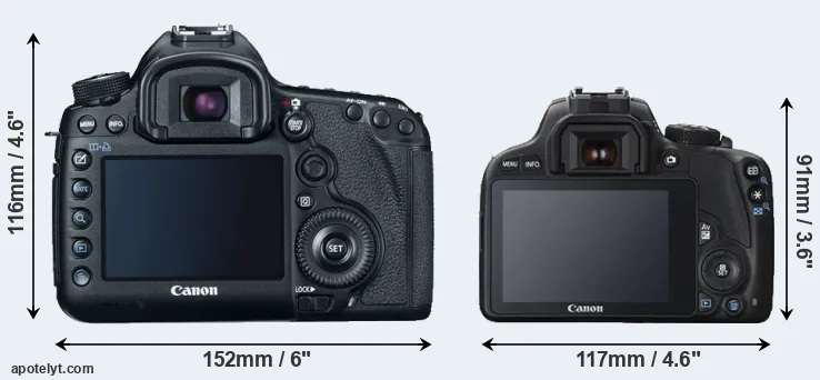 Comparison 5D Mark III or SL1 rear