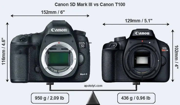 Size Canon 5D Mark III vs Canon T100