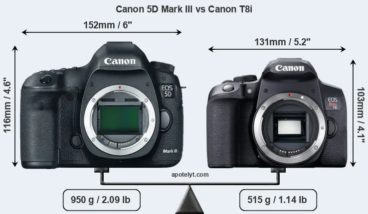 Size Canon 5D Mark III vs Canon T8i