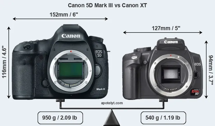Size Canon 5D Mark III vs Canon XT