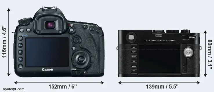Comparison 5D Mark III or M Typ 240 rear