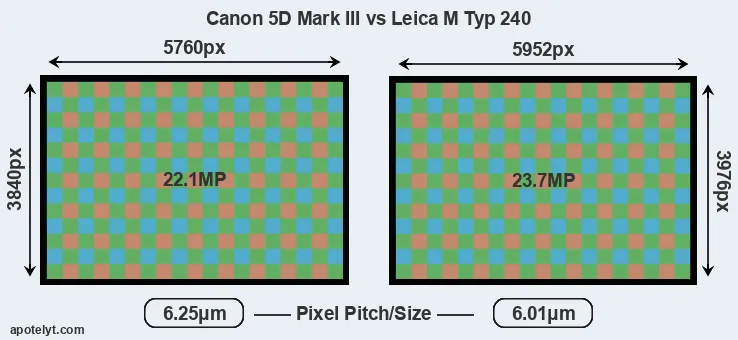 5D Mark III versus M Typ 240 MP