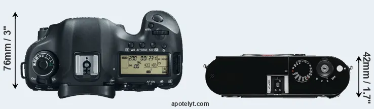 Compare 5D Mark III versus M Typ 240 top