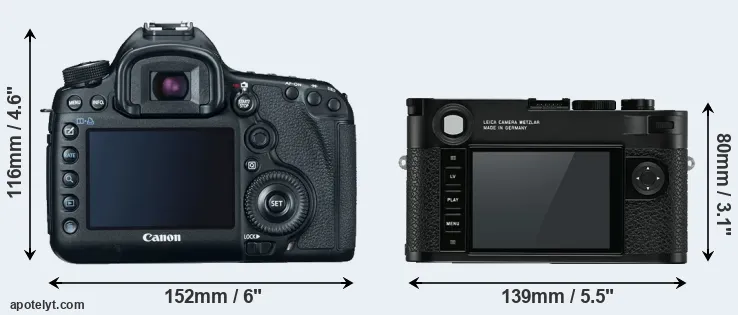Comparison 5D Mark III or M10 rear