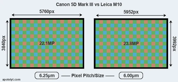 5D Mark III versus M10 MP