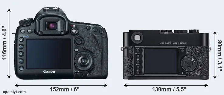 Comparison 5D Mark III or M9 rear