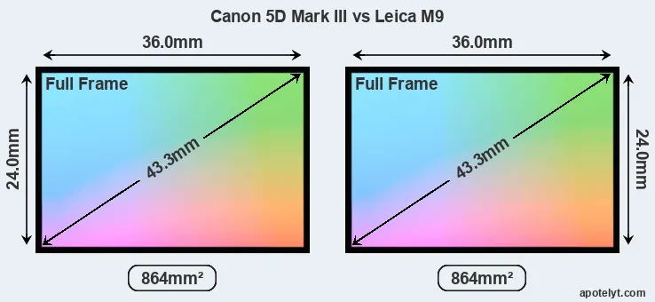 Canon 5D Mark III and Leica M9 sensor measures