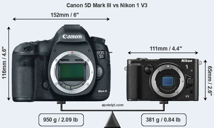 Size Canon 5D Mark III vs Nikon 1 V3