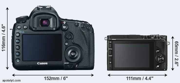 Comparison 5D Mark III or V3 rear